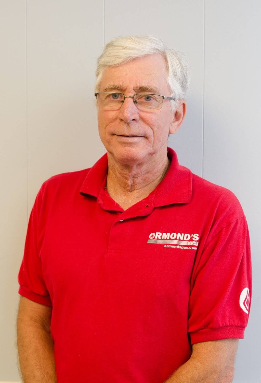 Ormond Energy | restaurant | 9535 US-70, Princeton, NC 27569, USA | 9199360221 OR +1 919-936-0221