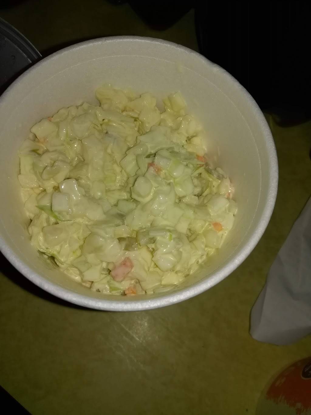 Popeyes Louisiana Kitchen | restaurant | 175 US-17, East Palatka, FL 32131, USA | 3869831118 OR +1 386-983-1118