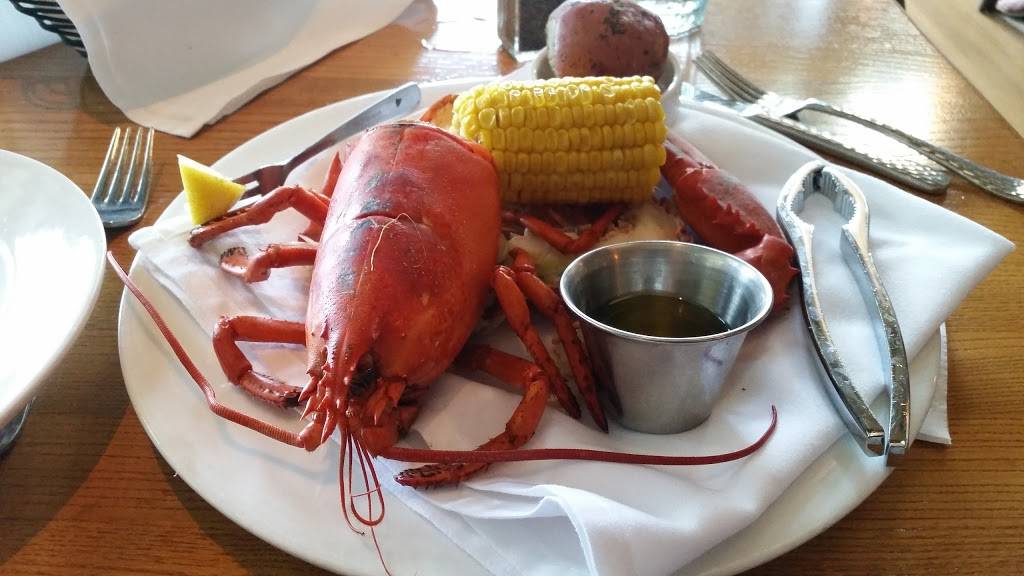 Sea Watch On the Ocean | restaurant | 6002 N Ocean Blvd, Fort Lauderdale, FL 33308, USA | 9547812200 OR +1 954-781-2200