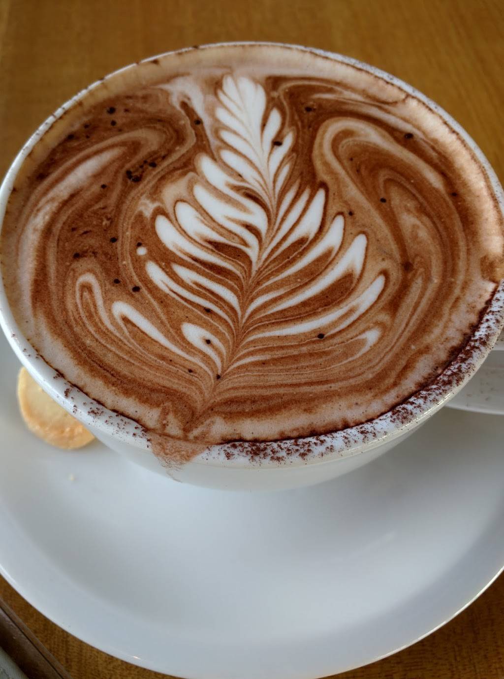 Echo Coffee | cafe | 2902 N 68th St #135, Scottsdale, AZ 85251, USA | 4804224081 OR +1 480-422-4081