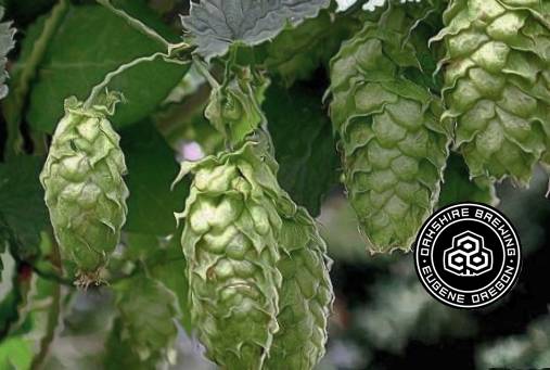 Oakshire Beer Hall | restaurant | 5013 NE 42nd Ave, Portland, OR 97218, USA | 9713231414 OR +1 971-323-1414