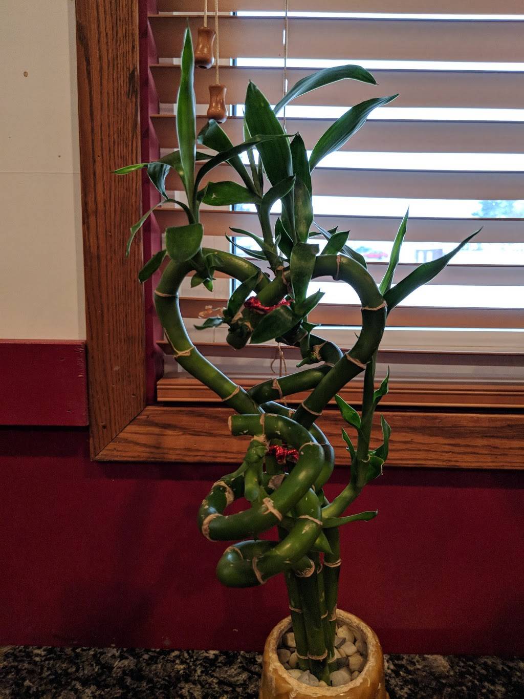 Lucky Dragon | restaurant | 1009 S Grand Ave, Charles City, IA 50616, USA | 6412283689 OR +1 641-228-3689