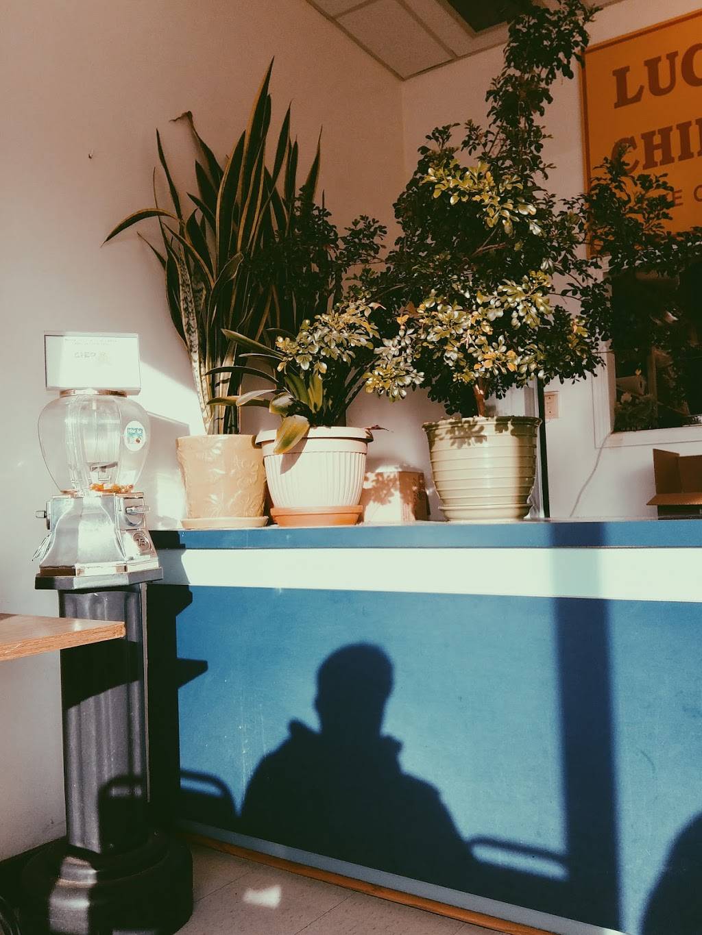 Lucky Star Chinese Food | meal takeaway | 1615 Orléans Blvd, Orléans, ON K1C 7E2, Canada | 6138301808 OR +1 613-830-1808