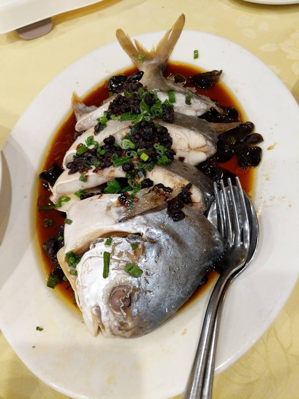 Very Fair Chinese Restaurant | restaurant | 4002 Sheppard Ave E, Scarborough, ON M1S 1S6, Canada | 4163321861 OR +1 416-332-1861