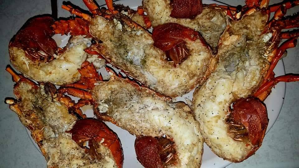 El Capi #1 | restaurant | Anzuelo No.4, 22710 Puerto Nuevo, B.C., Mexico | 016616141358 OR +52 661 614 1358