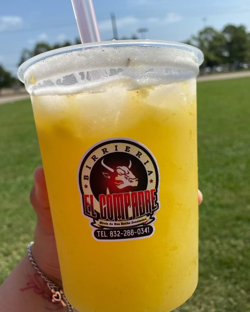 Birrieria el compadre | restaurant | 11701 S Sam Houston Pkwy E, Houston, TX 77089, USA | 8322880341 OR +1 832-288-0341