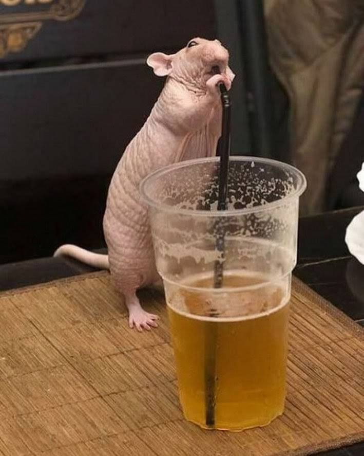 Dunkin | bakery | 5790 Mayfield Rd, Mayfield Heights, OH 44124, USA | 4404613500 OR +1 440-461-3500