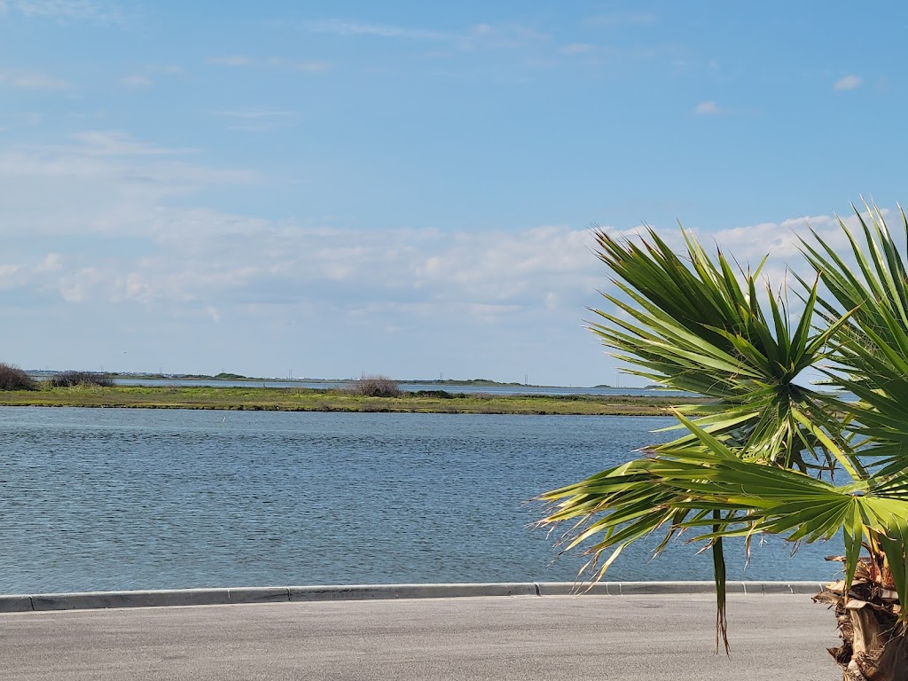 Starbucks | cafe | 14002 S Padre Island Dr, Corpus Christi, TX 78418, USA | 3614432321 OR +1 361-443-2321