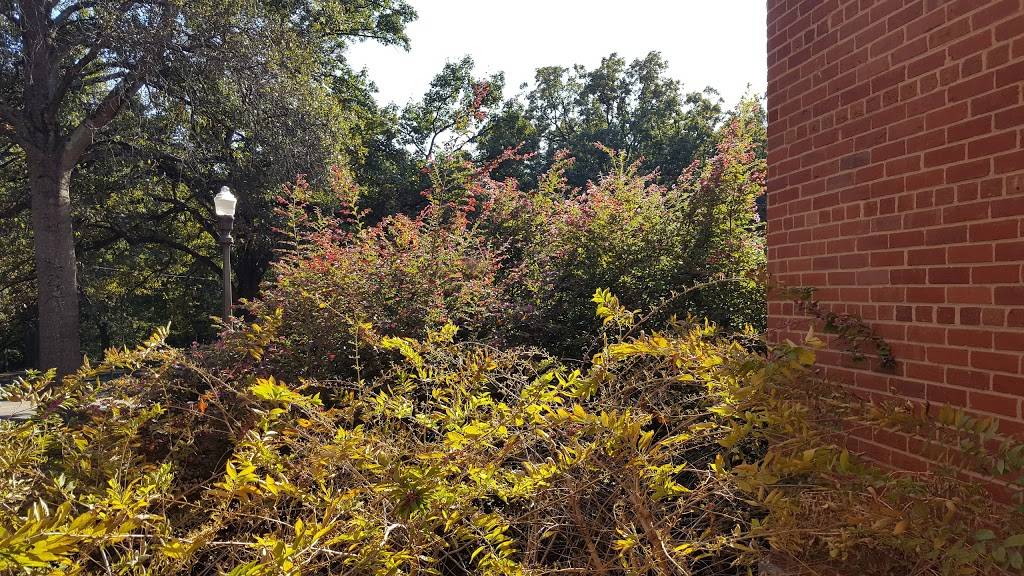 Clark Dining Hall | restaurant | Pullen Rd, Raleigh, NC 27606, USA | 9195134680 OR +1 919-513-4680