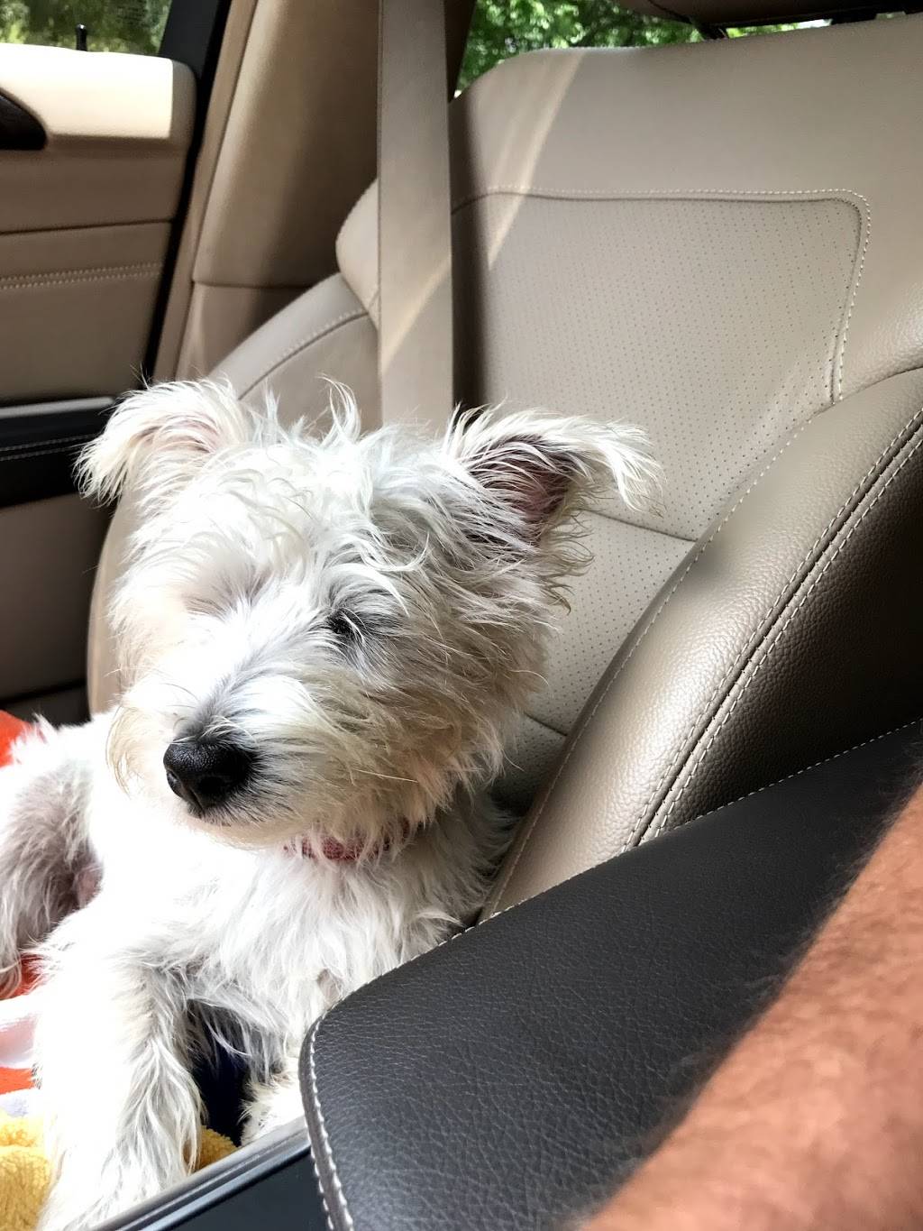 Arbys | restaurant | 3900 Brookside Pkwy, Alpharetta, GA 30022, USA | 7707772343 OR +1 770-777-2343