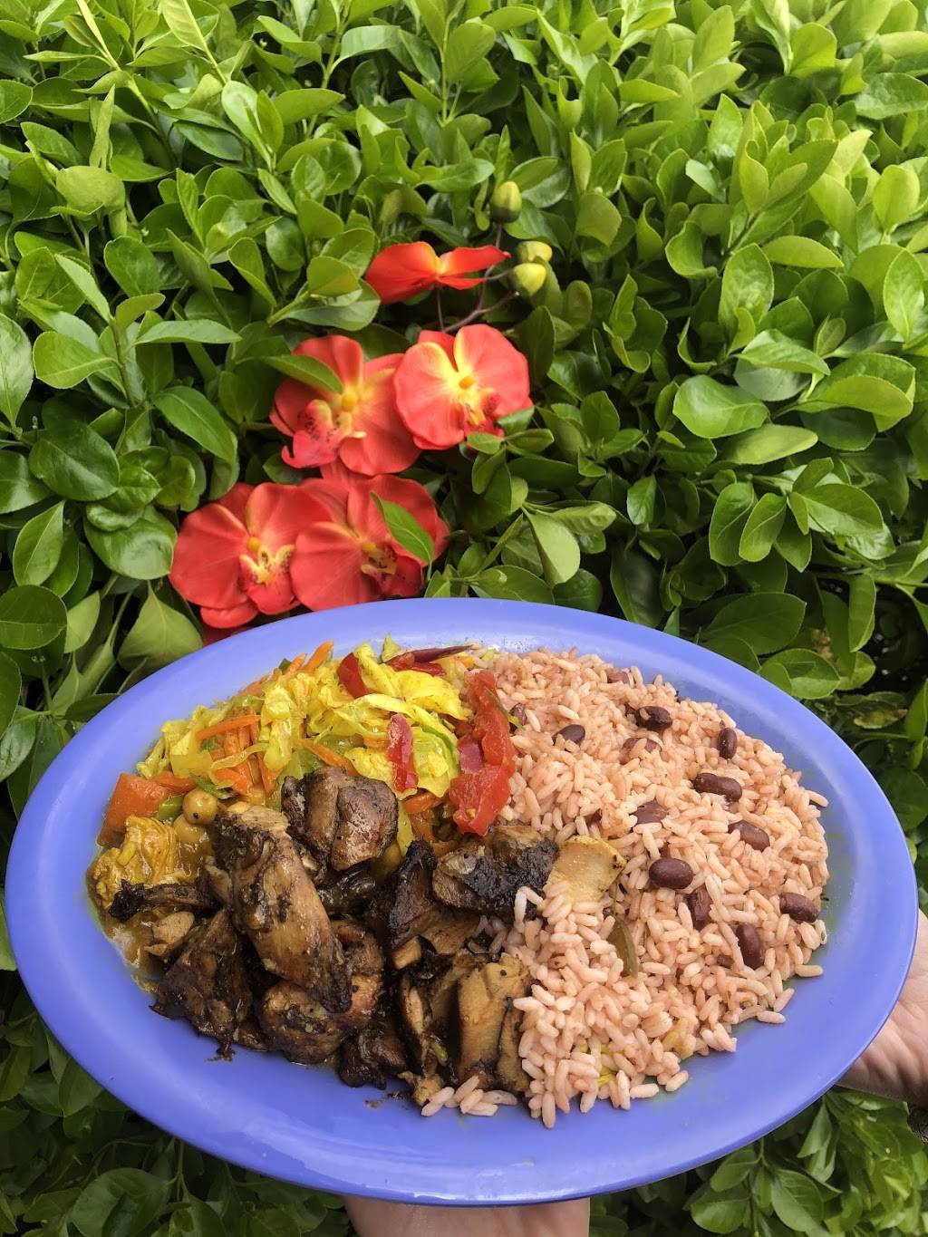 Caribbean Cove DC | restaurant | 9348 Cherry Hill Rd, College Park, MD 20740, USA | 2405424965 OR +1 240-542-4965