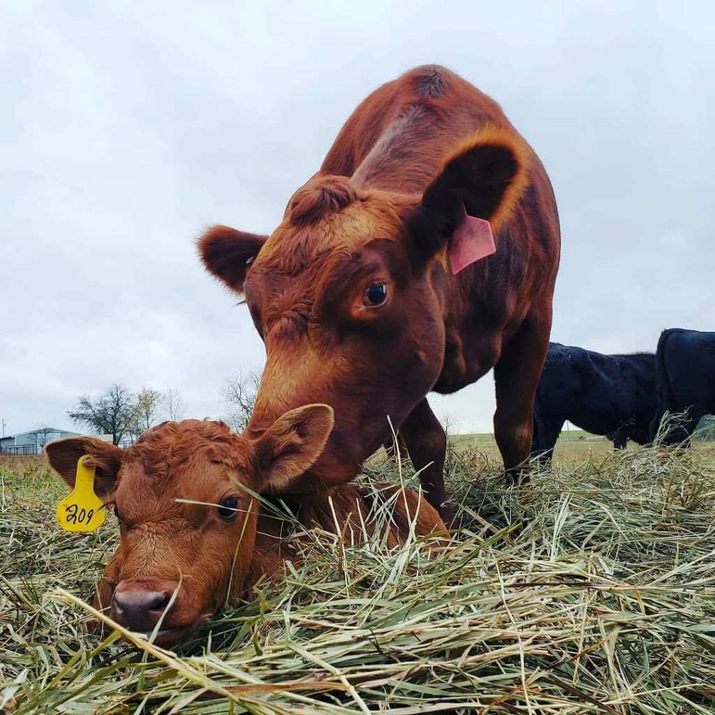 Five Mile Farms | restaurant | 39485 New Lancaster Rd, Lacygne, KS 66040, USA | 9136605980 OR +1 913-660-5980