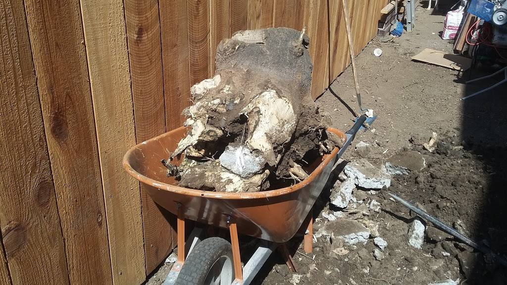 San Gaspar Restaurant | restaurant | 201 E 14th St, San Leandro, CA 94577, USA | 5105673517 OR +1 510-567-3517