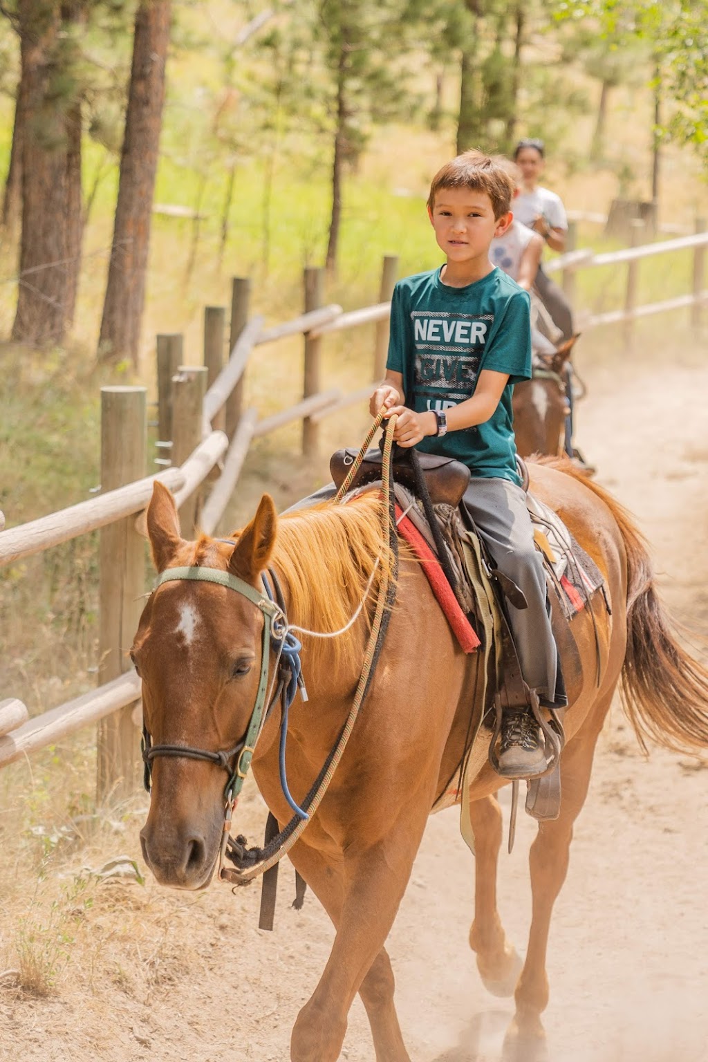 THE STABLES at Palmer Gulch | restaurant | 12620 SD-244, Hill City, SD 57745, USA | 6055743412 OR +1 605-574-3412