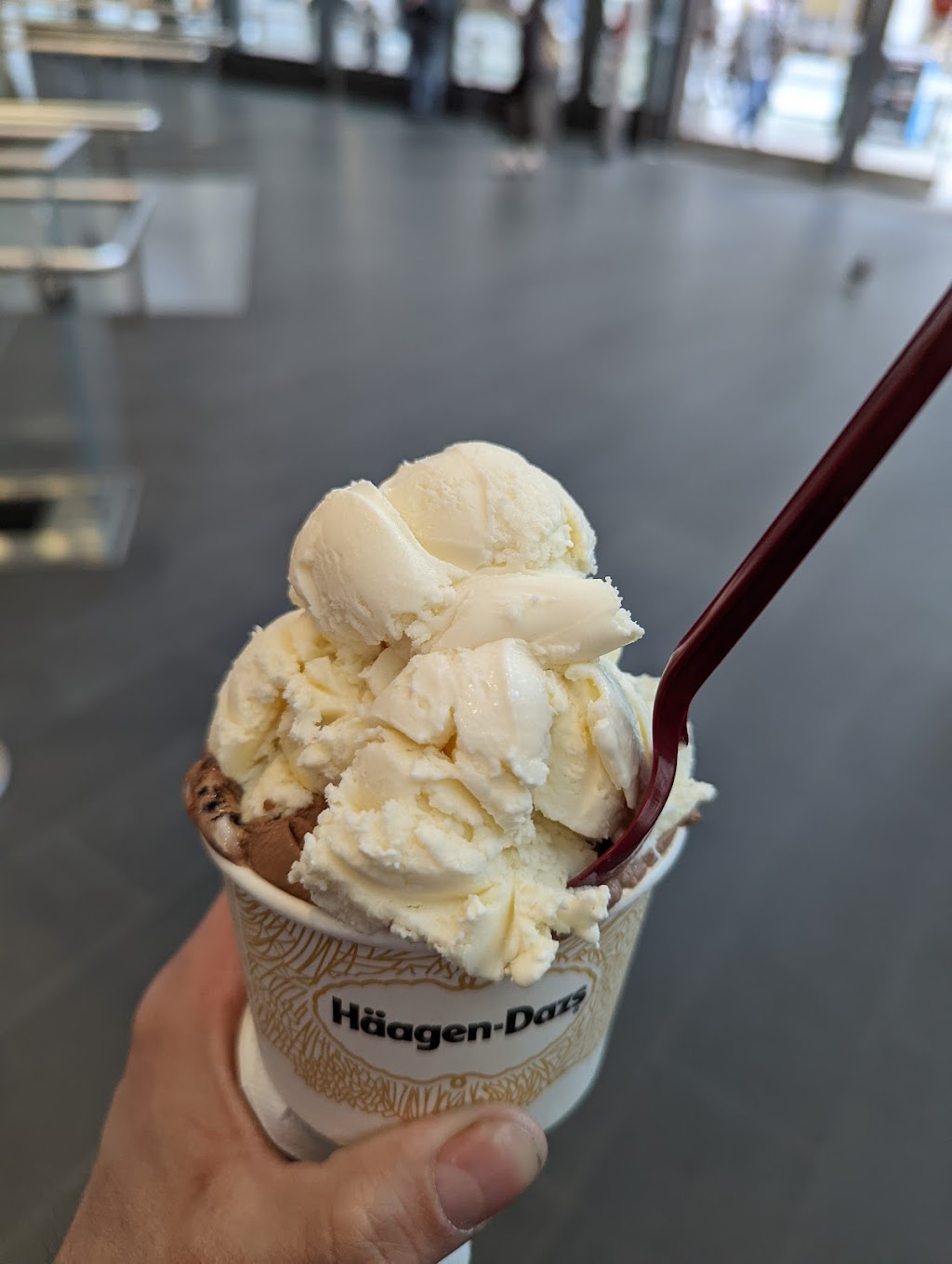 Häagen Dazs | restaurant | 200 Broadway, New York, NY 10038, USA | 2122330171 OR +1 212-233-0171