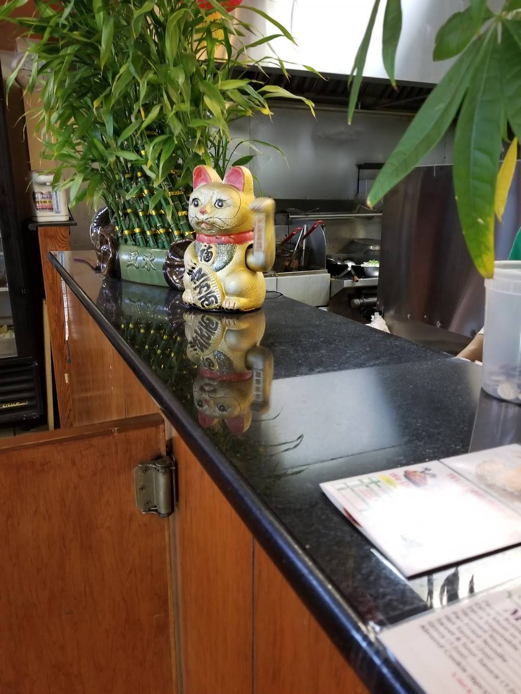 New China Restaurant | restaurant | 7407 W Archer Ave, Summit, IL 60501, USA | 7089249877 OR +1 708-924-9877