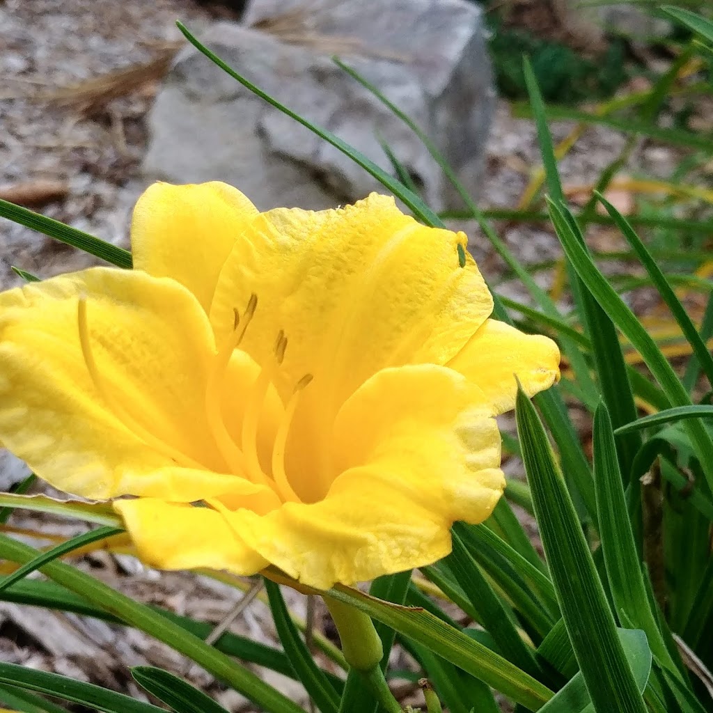 Craigs Bar-B-Que | restaurant | 814 E Page Ave, Malvern, AR 72104, USA | 5013371199 OR +1 501-337-1199