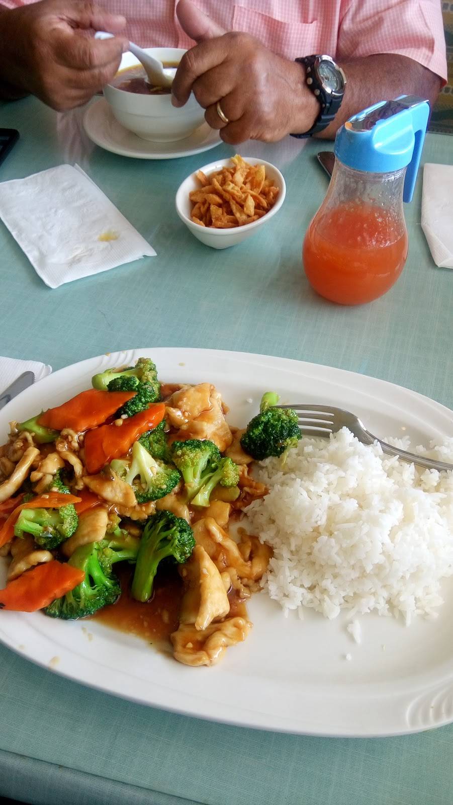 Dragon Den Chinese Restaurant | restaurant | 2420 Hudson Rd, Greer, SC 29650, USA | 8642922828 OR +1 864-292-2828