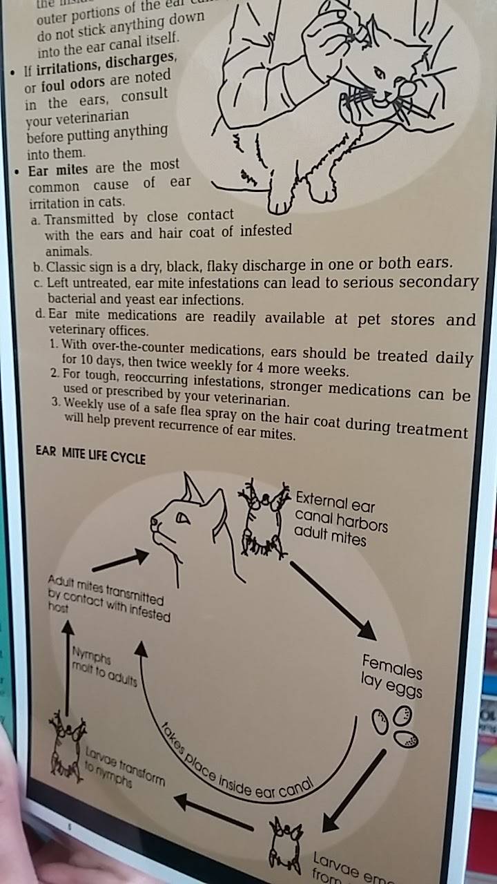 Subway Restaurants | restaurant | 642 Palomar Street, Suite 407, Palomar Trolley Center, Chula Vista, CA 91911, USA | 6194766627 OR +1 619-476-6627