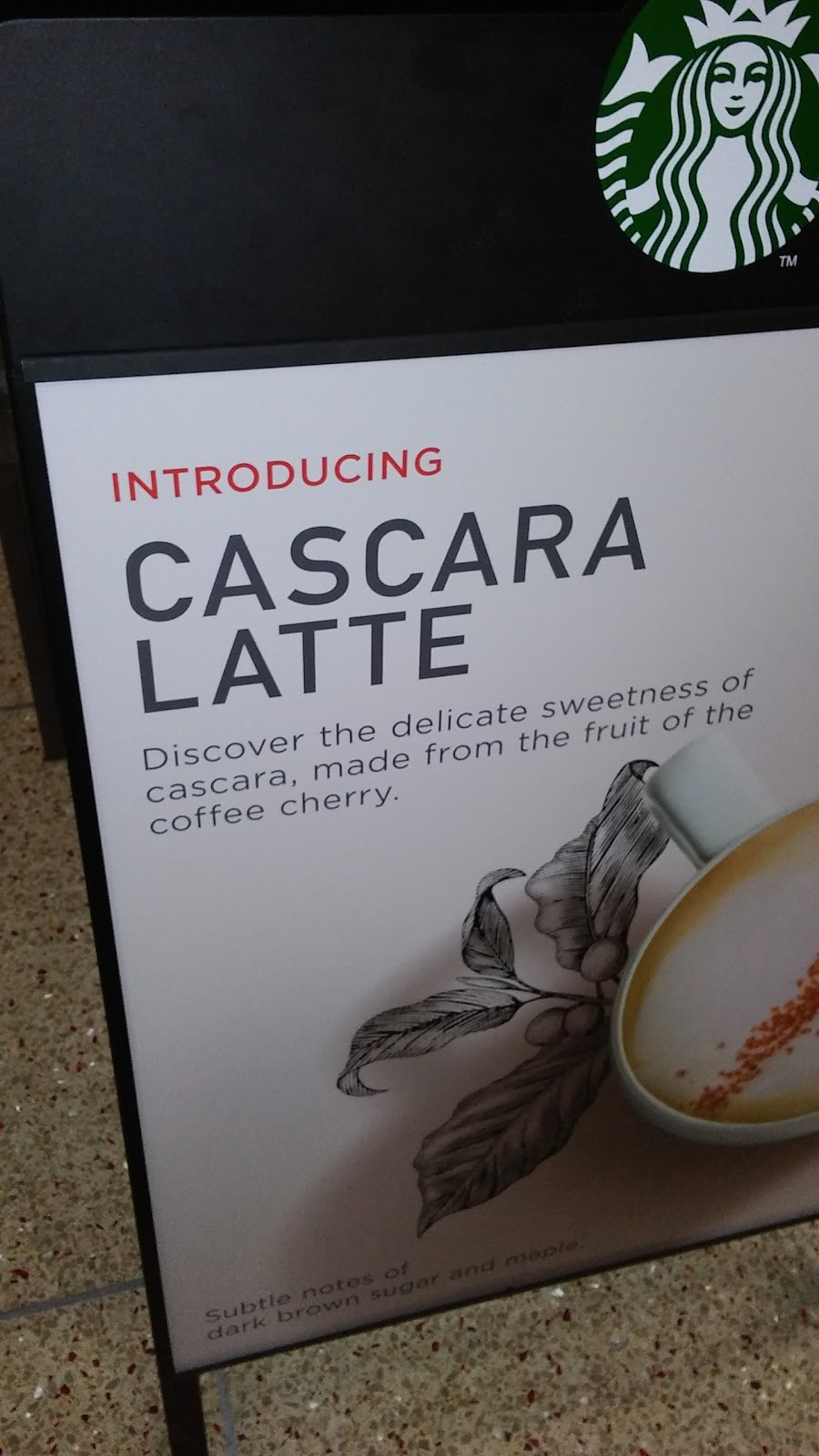 Starbucks | restaurant | 806 Ridge St, Bowling Green, OH 43403, USA | 4193729011 OR +1 419-372-9011