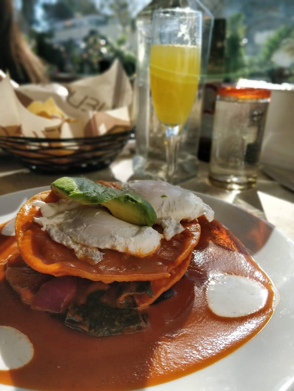 Tortilla Republic | restaurant | 480 S Coast Hwy, Laguna Beach, CA 92651, USA | 9493934888 OR +1 949-393-4888