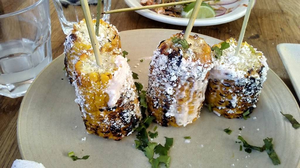 El Techo | restaurant | 2516 Mission St, San Francisco, CA 94110, USA | 4155506970 OR +1 415-550-6970