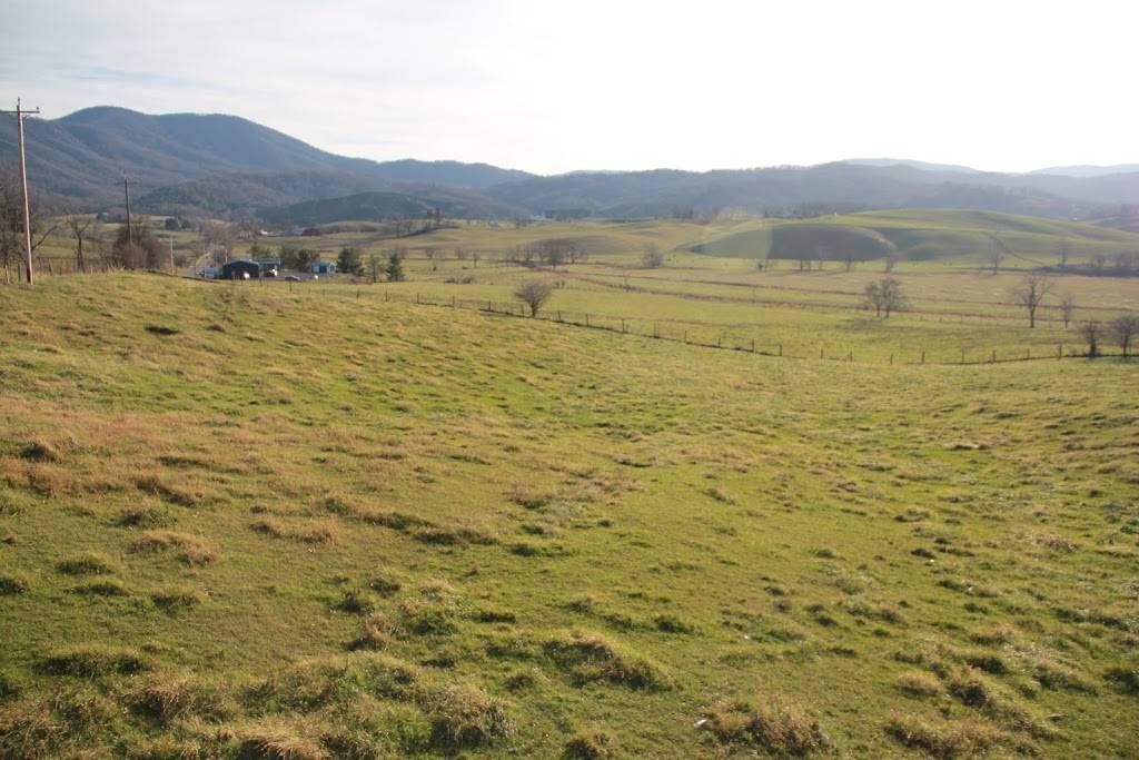 Valley Diner | restaurant | 9345 Elk Creek Pkwy, Elk Creek, VA 24326, USA | 2766559909 OR +1 276-655-9909