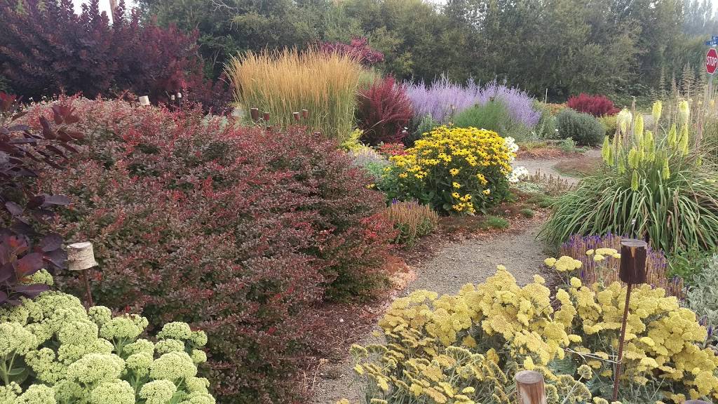 The Cup | restaurant | 600 W Sims Way, Port Townsend, WA 98368, USA | 3603799059 OR +1 360-379-9059