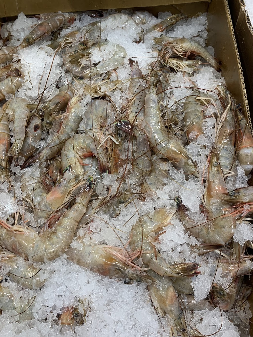 El Capi del Marisco | meal delivery | 403 Dorchester Dr, Riverside, NJ 08075, USA | 7865217272 OR +1 786-521-7272