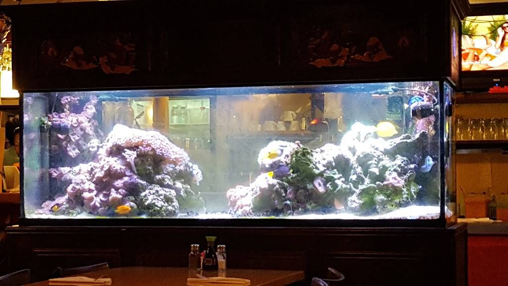 Talay Thai | restaurant | 2233 E Atlantic Blvd, Pompano Beach, FL 33062, USA | 9549411123 OR +1 954-941-1123