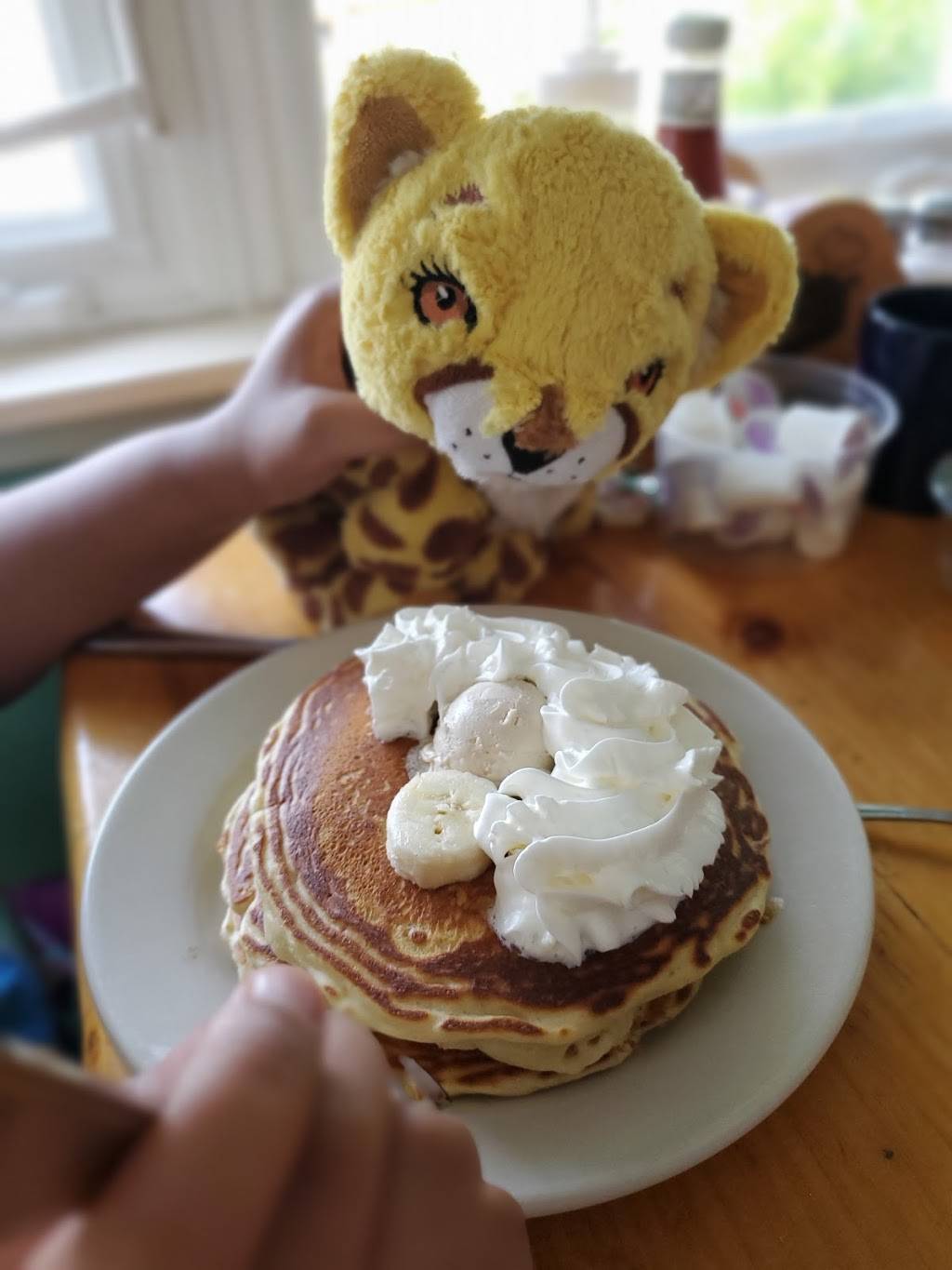 Flapjacks | restaurant | 149 Main St, Lincoln, NH 03251, USA | 6037458226 OR +1 603-745-8226