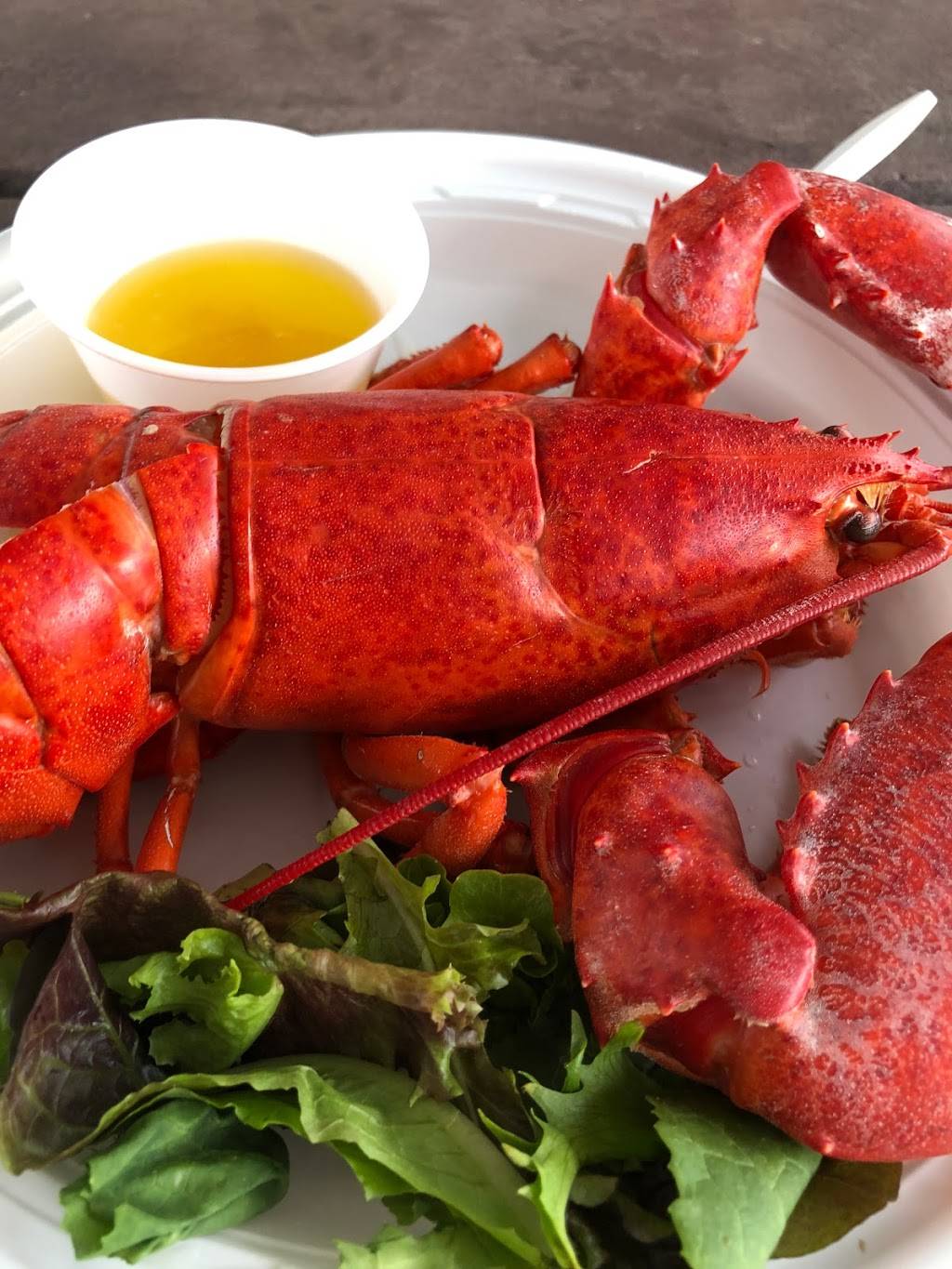 Crabby Amys, | restaurant | 2880 Ocean Ave, Seaford, NY 11783, USA | 5167832554 OR +1 516-783-2554
