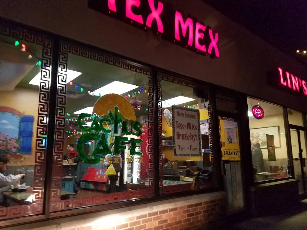 Cactus Cafe | cafe | 214 Glen Cove Ave D, Glen Cove, NY 11542, USA | 5166092623 OR +1 516-609-2623