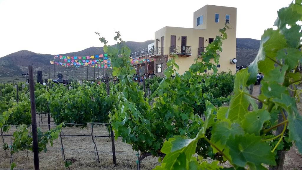 Rey de 3 | restaurant | 13 y 13 bis Fracc San Marcos, Fracc B, Héroes de Baja California, El Porvenir, 22984 Ensenada, B.C., Mexico | 016644840008 OR +52 664 484 0008