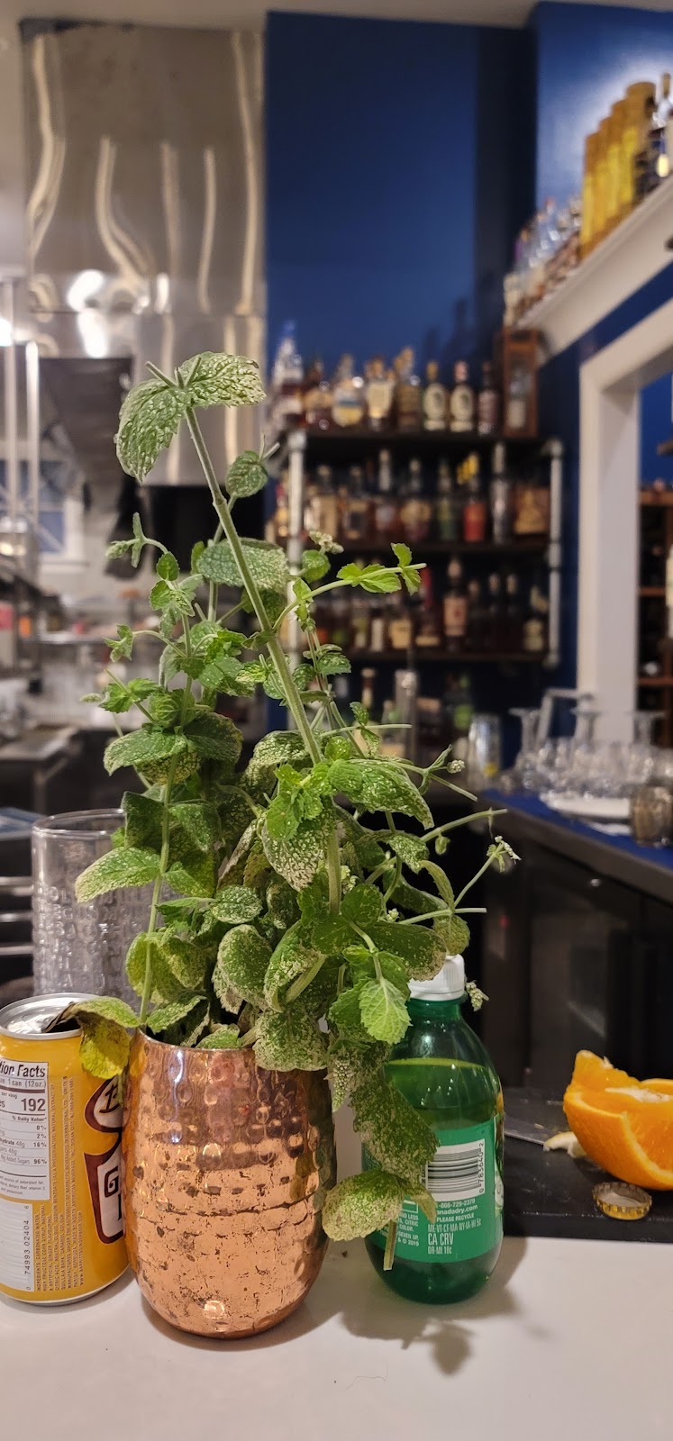 Commodore Bobs Yacht Club | restaurant | 517 University Dr, Starkville, MS 39759, USA | 6622688326 OR +1 662-268-8326