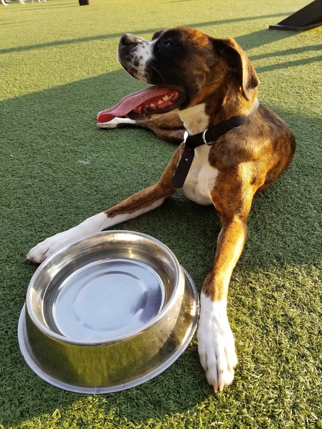 Play Wash Pint | restaurant | 113 Johnson St, Chattanooga, TN 37408, USA | 4236432275 OR +1 423-643-2275