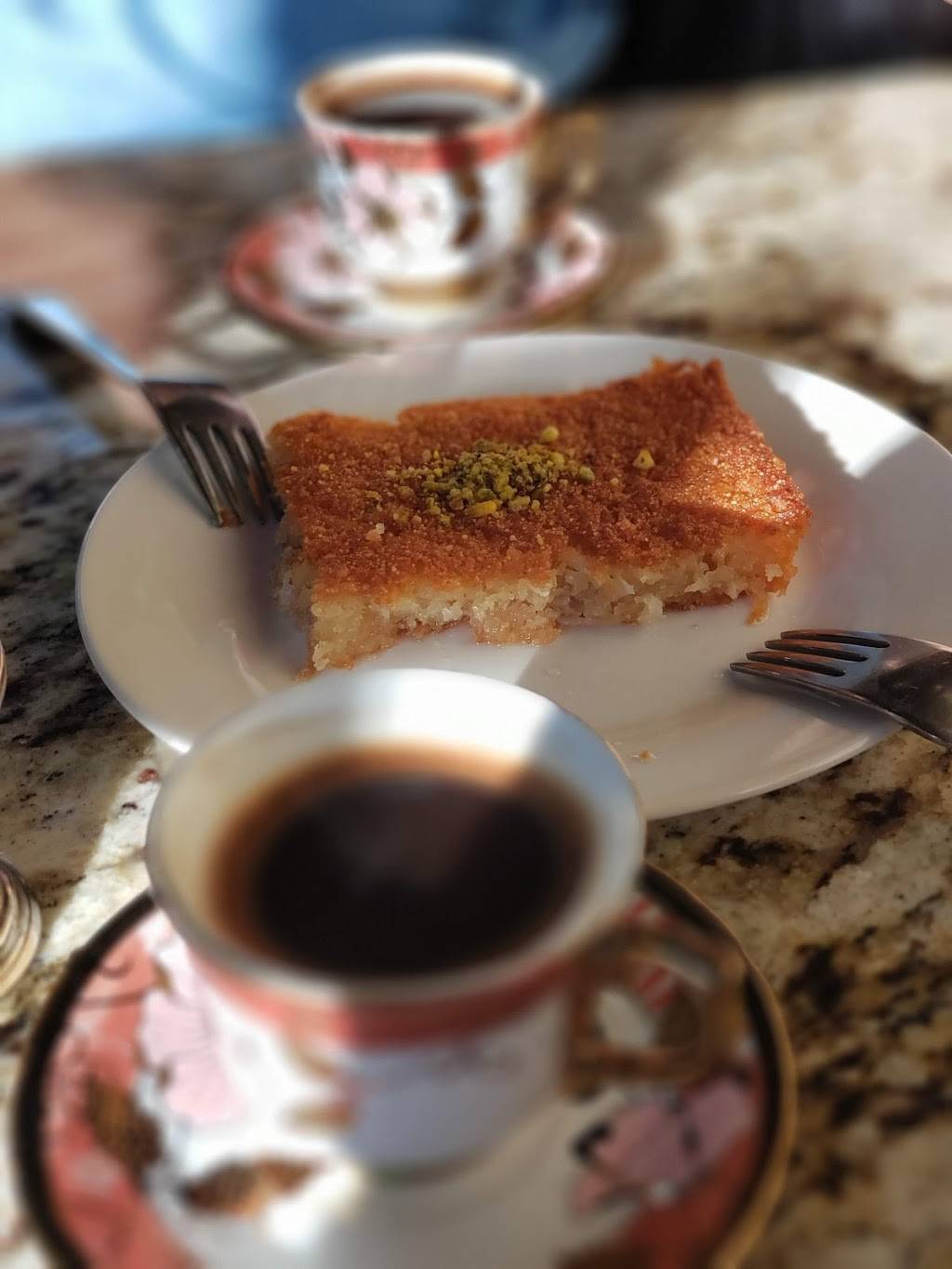 Sahara Restaurant | restaurant | 832 Broad Ripple Ave, Indianapolis, IN 46220, USA | 3172059300 OR +1 317-205-9300