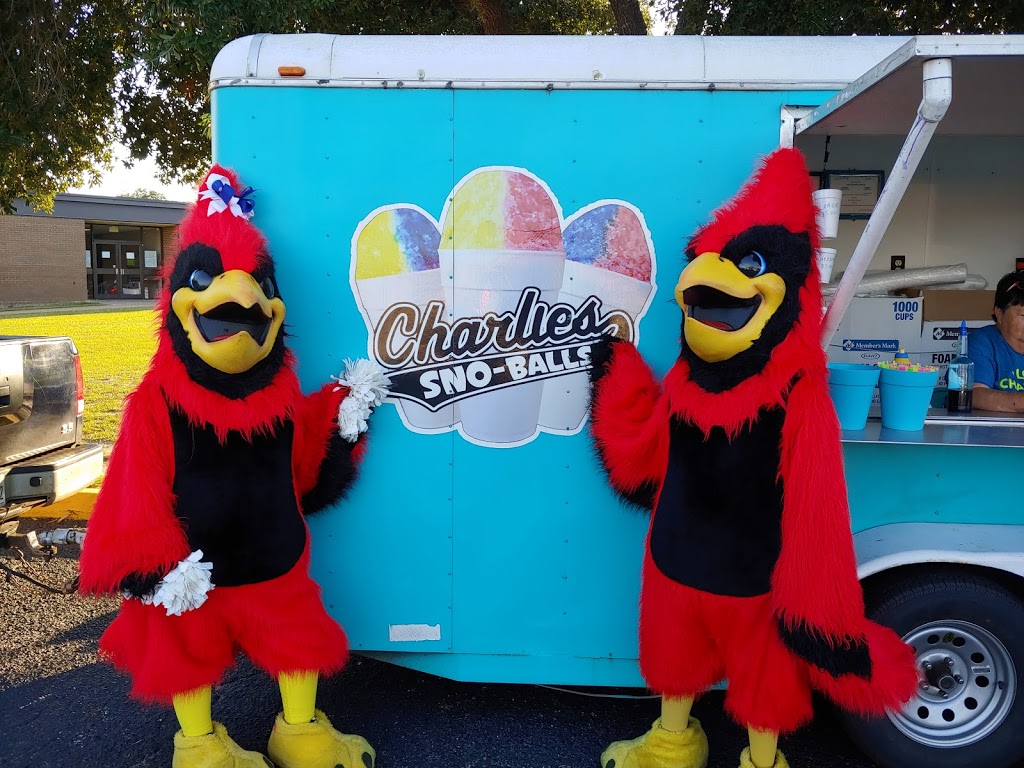 Charlies Sno-Balls & Seasonal Tanning | restaurant | 1019 N Kilgore St, Kilgore, TX 75662, USA | 9039868402 OR +1 903-986-8402