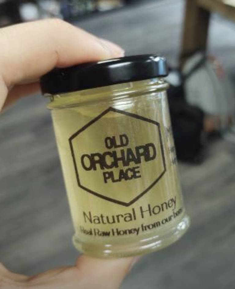 Old Orchard Place | restaurant | 3936 NY-22, Willsboro, NY 12996, USA | 5188372323 OR +1 518-837-2323