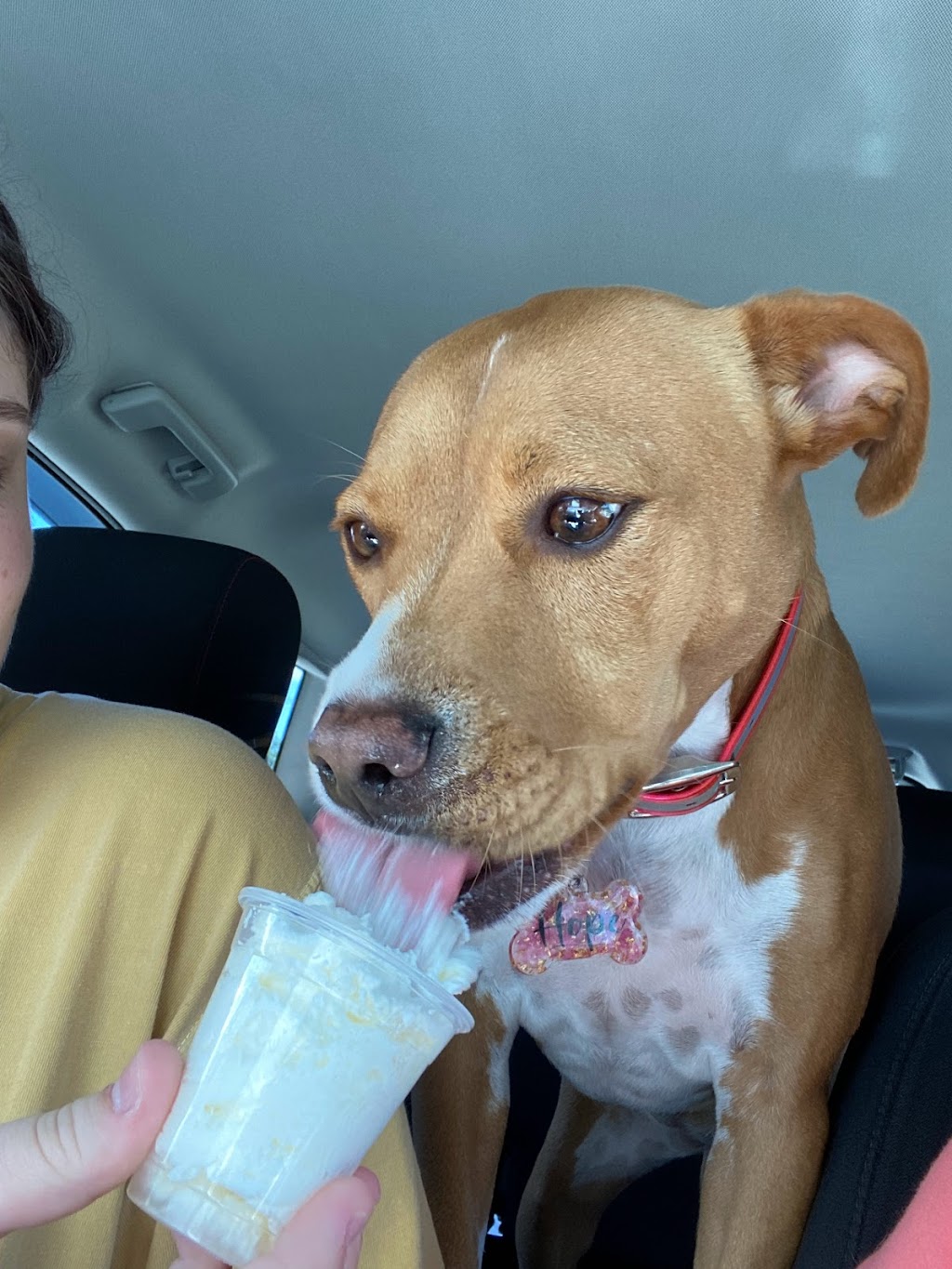 Starbucks | cafe | 9850 Sullivan Rd, Baton Rouge, LA 70818, USA | 2254881021 OR +1 225-488-1021