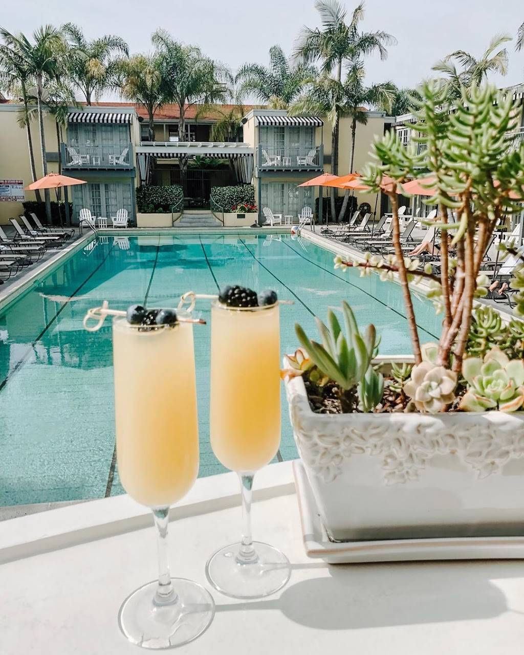 HOPE 46 Classic American Cuisine | restaurant | 2223 El Cajon Blvd, San Diego, CA 92104, USA | 6197800358 OR +1 619-780-0358