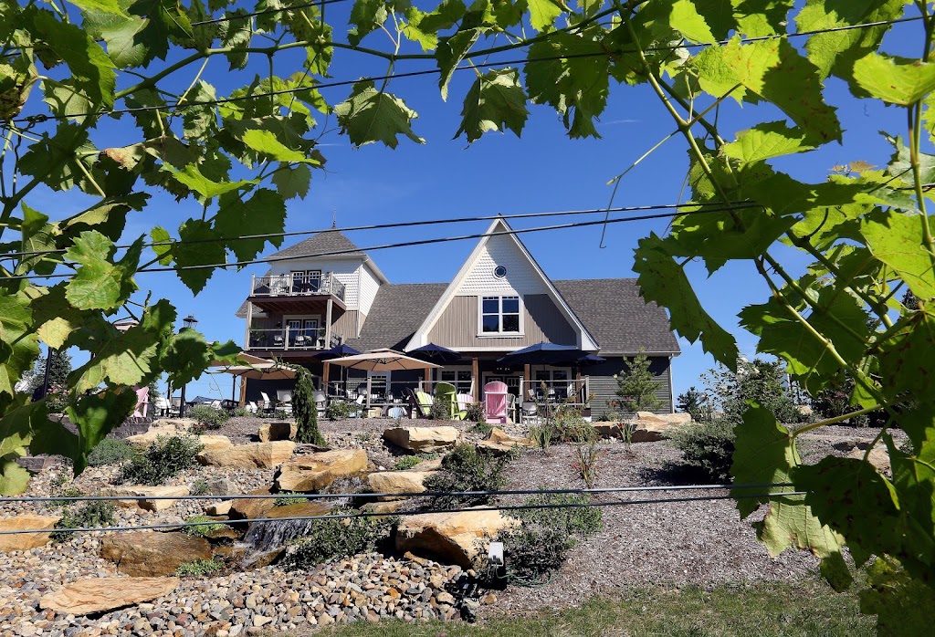 High & Low Winery + Bistro | restaurant | 588 Medina Rd, Medina, OH 44256, USA | 8444664456 OR +1 844-466-4456