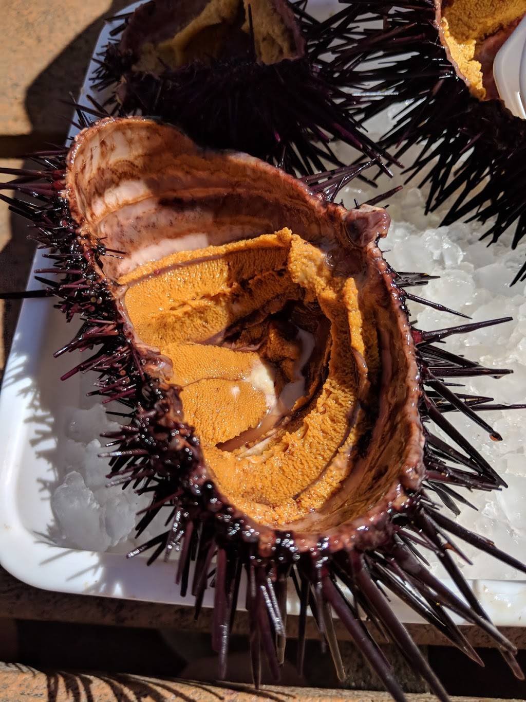 On The Alley | restaurant | 117 Harbor Way, Santa Barbara, CA 93109, USA | 8059626315 OR +1 805-962-6315