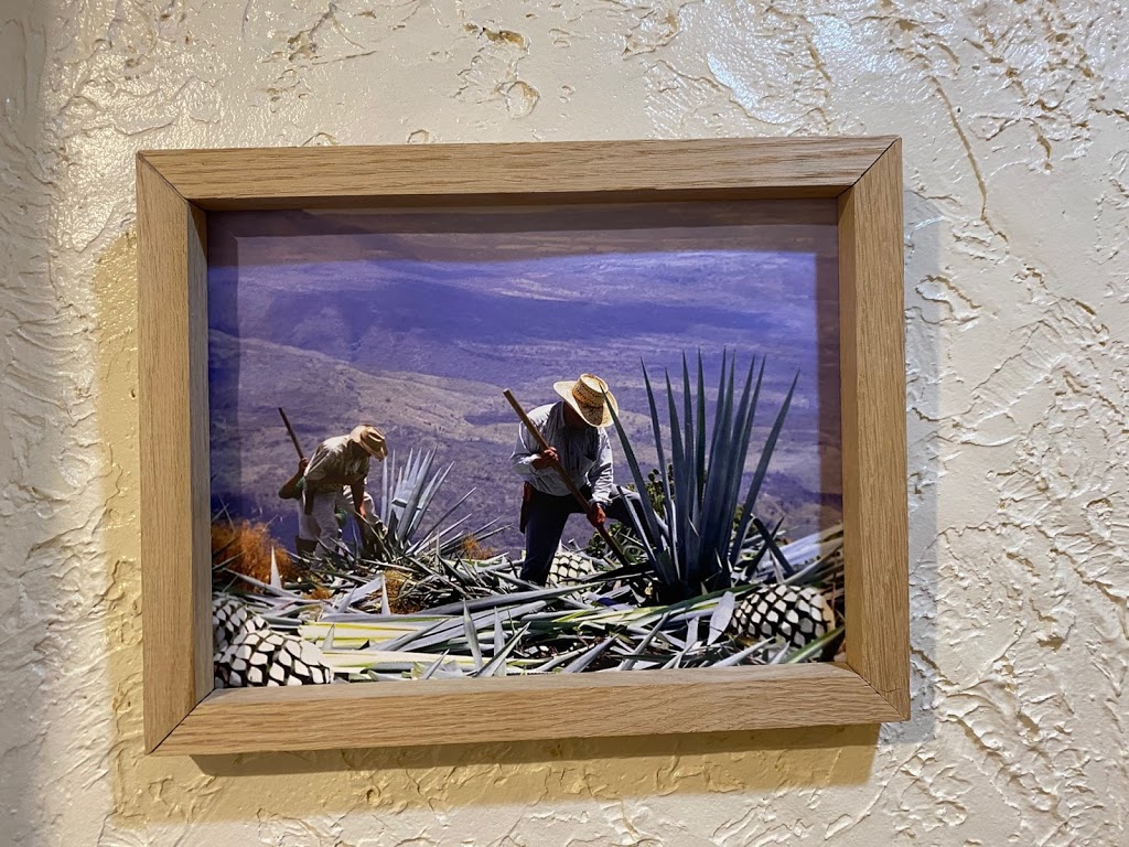 Casa Gallardo Fajita Factory | restaurant | 625 Mt Clinton Pike, Harrisonburg, VA 22802, USA | 5402098198 OR +1 540-209-8198