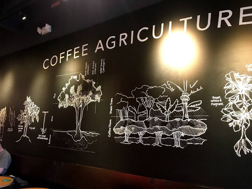 Starbucks | cafe | 890 Saxon Blvd Suite 100, Orange City, FL 32763, USA | 3864144736 OR +1 386-414-4736