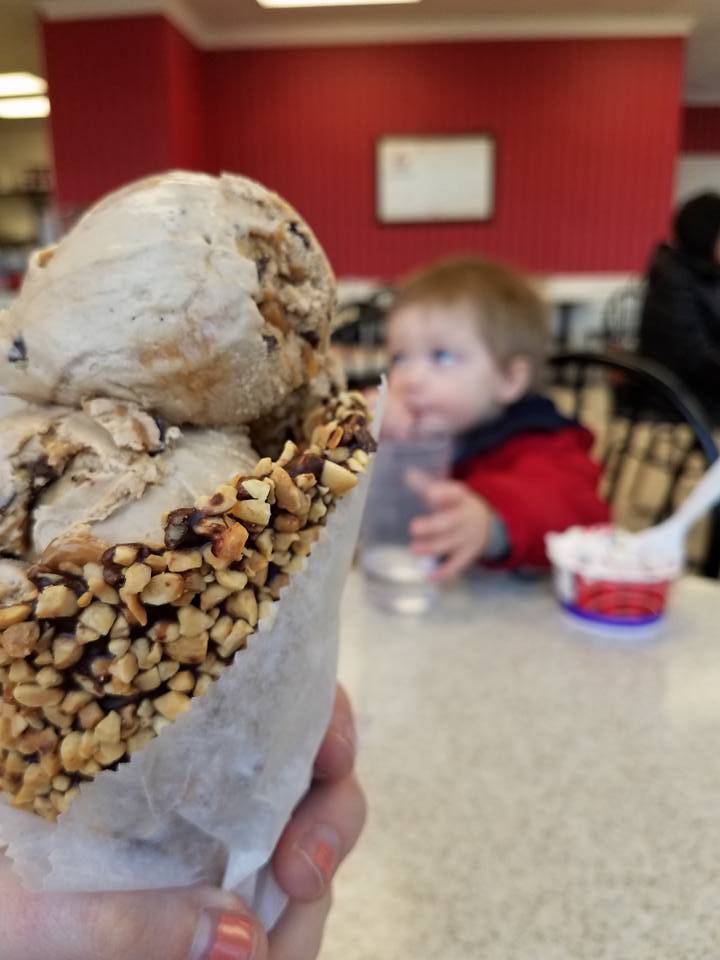 Oberweis Ice Cream and Dairy Store | restaurant | 1735 Algonquin Rd, Rolling Meadows, IL 60008, USA | 8472909222 OR +1 847-290-9222