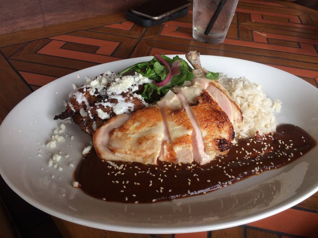 Meso Maya Comida Y Copas | restaurant | 4123 Abrams Rd, Dallas, TX 75214, USA | 4699981182 OR +1 469-998-1182