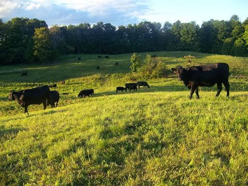 Cloudland Farm | restaurant | 1101 Cloudland Rd, Woodstock, VT 05091, USA | 8024572599 OR +1 802-457-2599