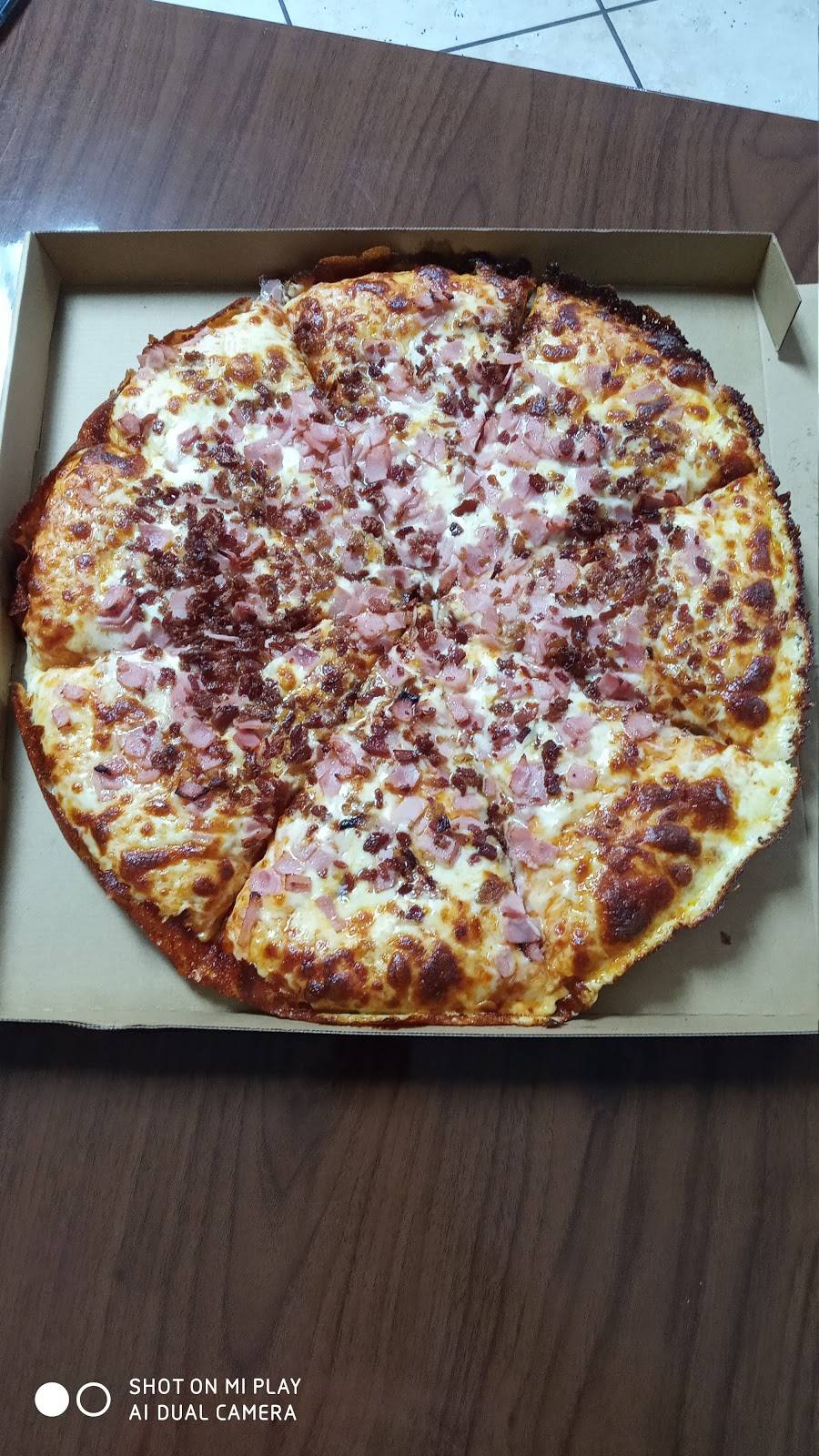 Kasalta Pizza & Shakes | meal takeaway | 7045 W 4th Ave, Hialeah, FL 33014, USA | 7864521658 OR +1 786-452-1658