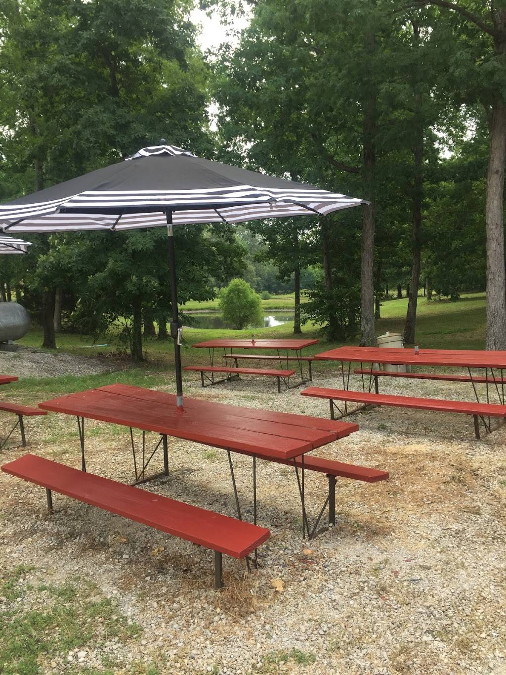 Teds Bar B Que | restaurant | 9744 Missouri T, Wappapello, MO 63966, USA | 5732228211 OR +1 573-222-8211